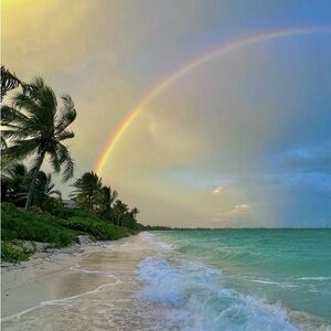 Meet your Posher, Ryn